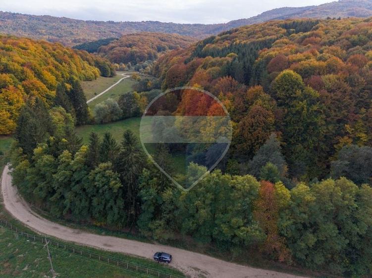 Teren agricol extravilan de 9540 mp, în Teliu