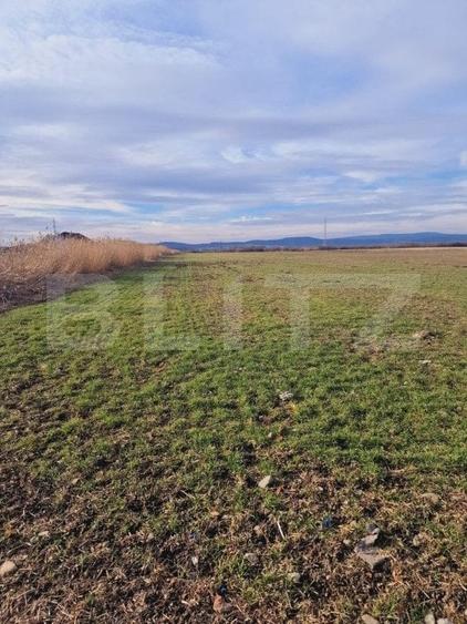 Teren Construcții intravilan de 8700 mp, în Nord-Est