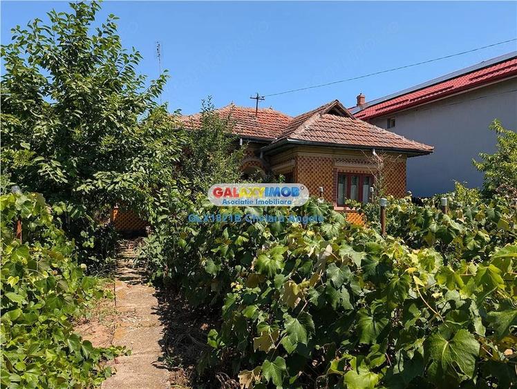 Casă cu 3 camere cu Teren 3000 Mp în Lipia