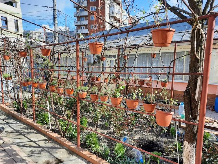 Casă cu 2 camere cu Teren 437 Mp în Mazepa 2