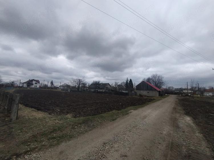 Casă cu Teren 3976 Mp în Dumbrăvița