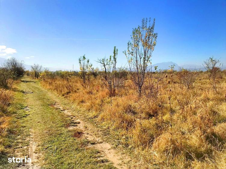 Teren de 6000 mp, în Ghimbav