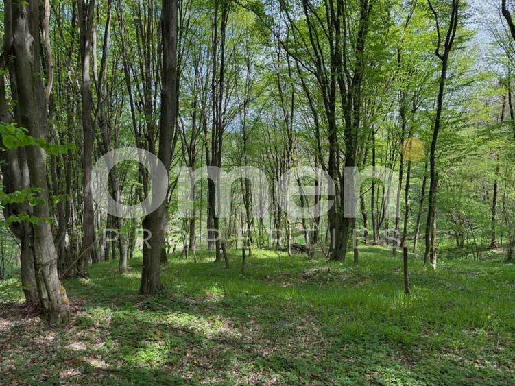 Teren extravilan de 842 mp, în Berința