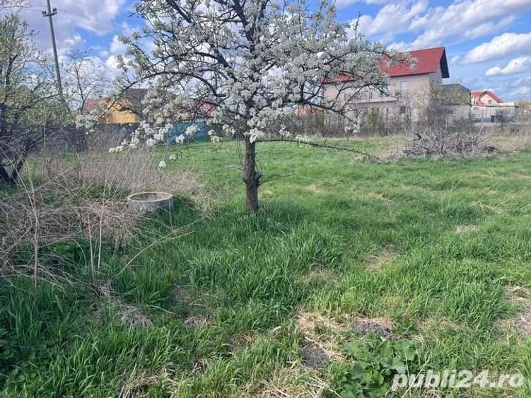 Teren de 2098 mp, în Beregsău Mare
