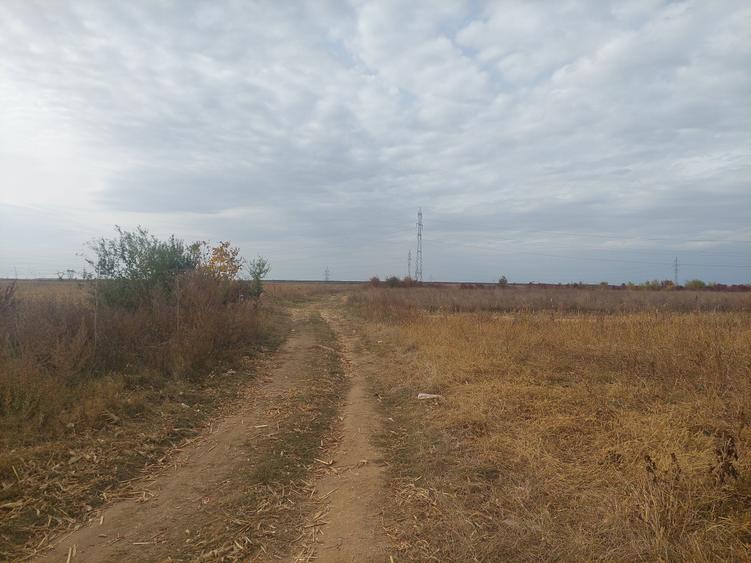 Teren Construcții intravilan de 9844 mp, în Dumbrava
