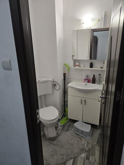 Dristor Vitan, centrala, renovat/mobilat, AC, 2 bai, 2 parcuri, metrou, ParkLake - 9