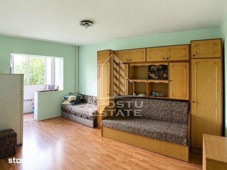 Apartament 1 camera zona Micalaca Pet Friendly - 2