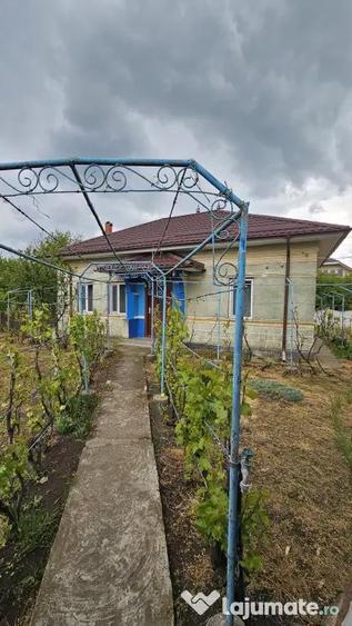 Casă cu 2 camere cu Teren 1500 Mp în Urzica
