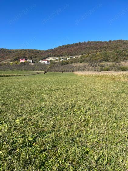 Teren de 7500 mp, în Central