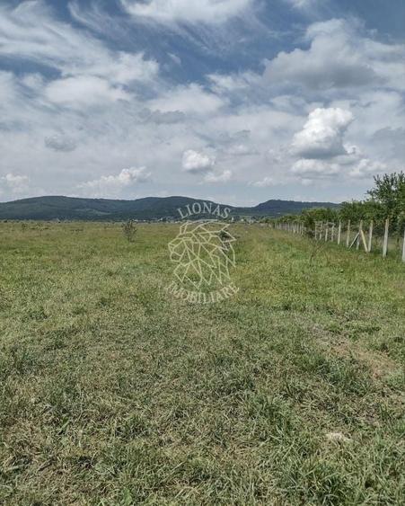 Teren agricol extravilan de 23700 mp, în Jelna