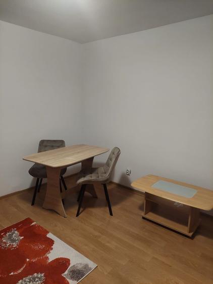 Garsoniera pentru inchiriat - 8