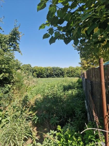 Teren Construcții intravilan de 5100 mp, în Pătlăgeanca