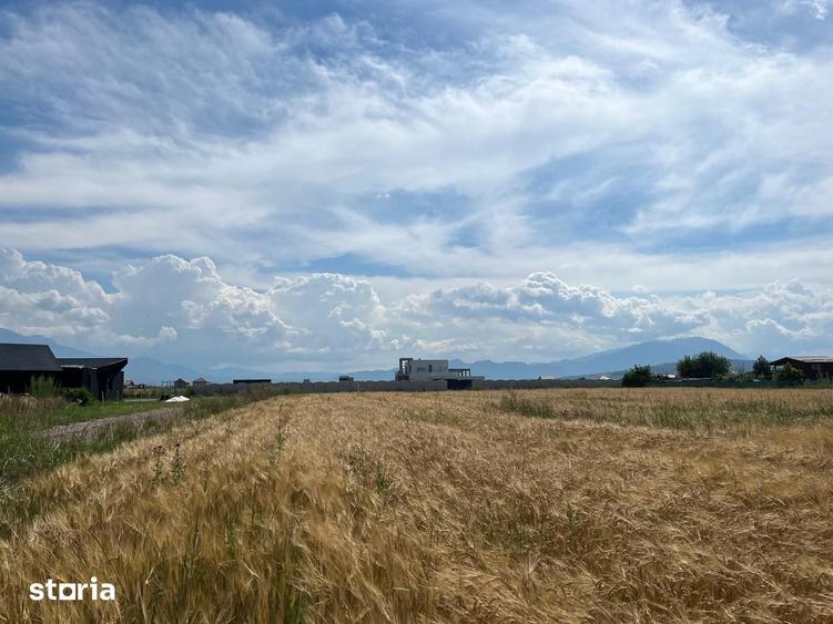Teren de 1000 mp, în Cristian