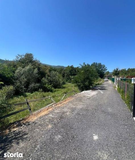 Teren de 1300 mp, în Sadu