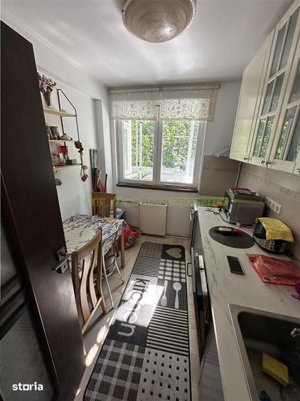Apartament 2 camere de inchiriat, Costin Georgian - 4