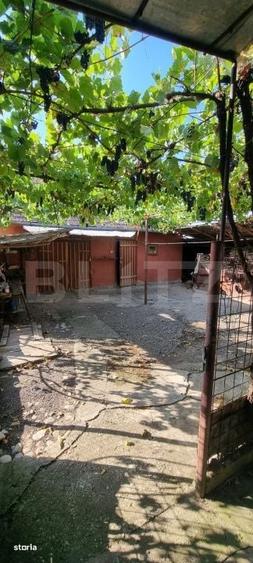 Casa cu 3 camere, anexe, curte si gradina - 12