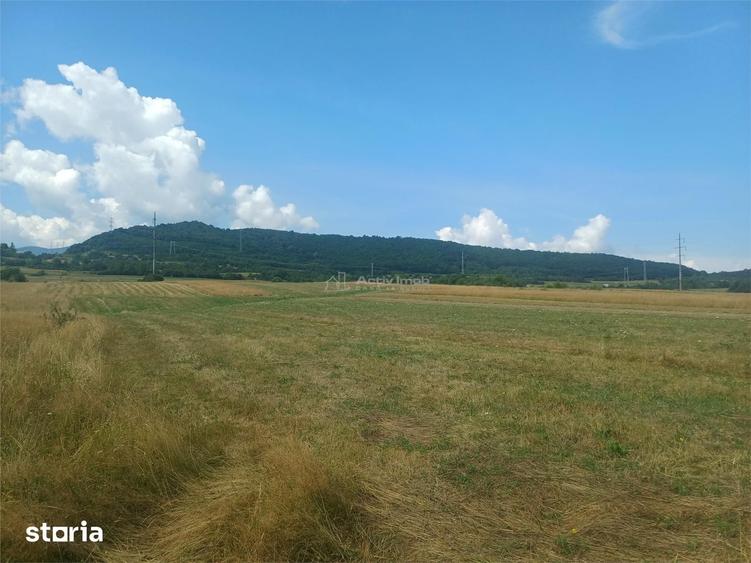 Teren de 1488 mp, în Central