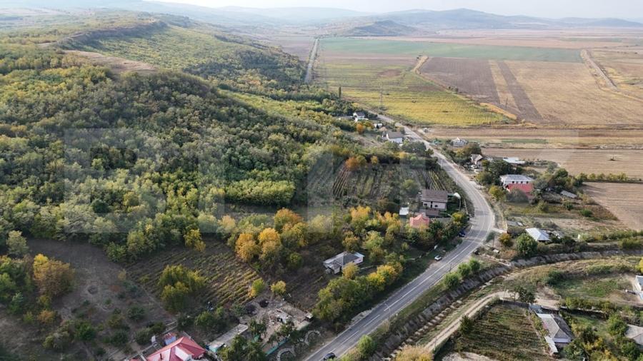 Casă individuală cu 4 camere cu Teren 2982 Mp în Costuleni