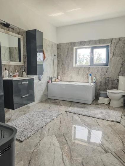 Casă cu Teren 6000 Mp în Bunești (Cotmeana)
