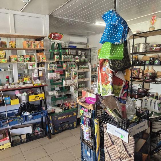 Spațiu comercial, de 355 mp, în Plantelor