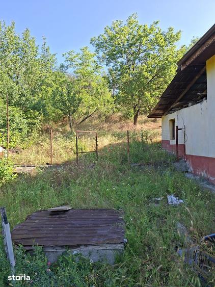 Casă cu 3 camere cu Teren 3000 Mp în Vârvor