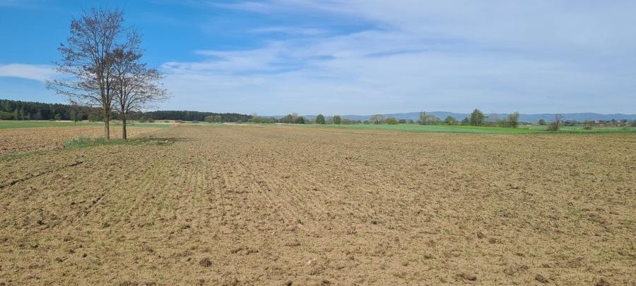 Teren agricol extravilan de 3000 mp, în Reci