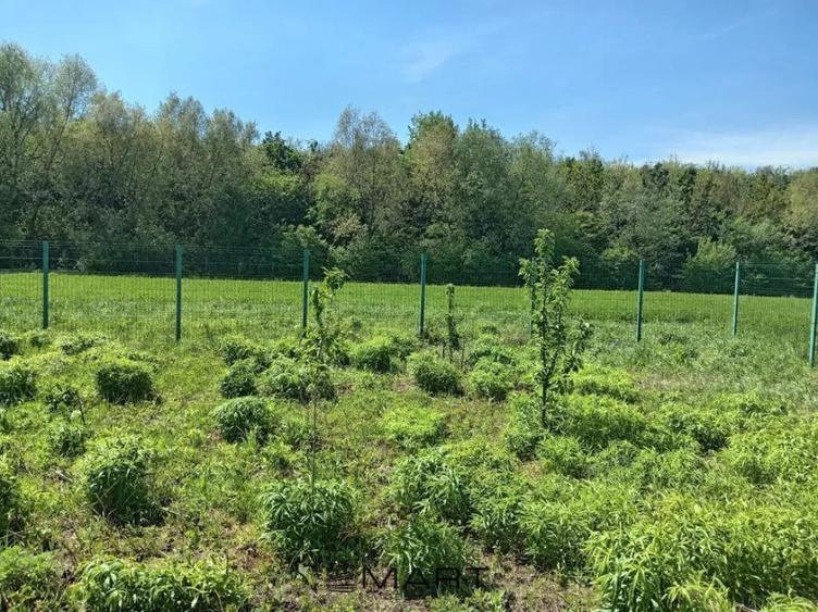 Teren de 837 mp, în Stupini