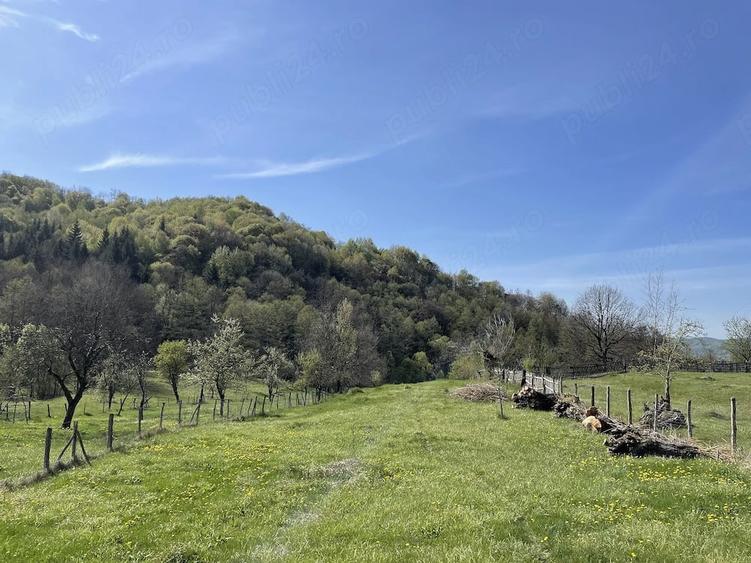 Teren de 3730 mp, în Vâlsănești