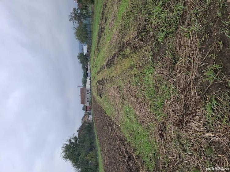 Teren de 1500 mp, în Sălciva