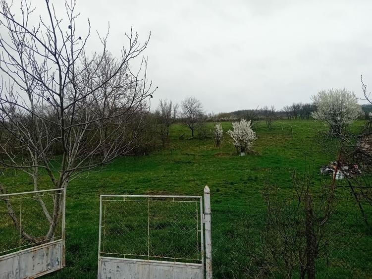 Spațiu comercial, în Coldău