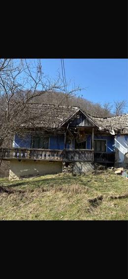 Teren de 20000 mp, în Rebrișoara