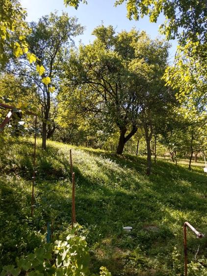 Casă cu 4 camere cu Teren 8421 Mp în Pruni