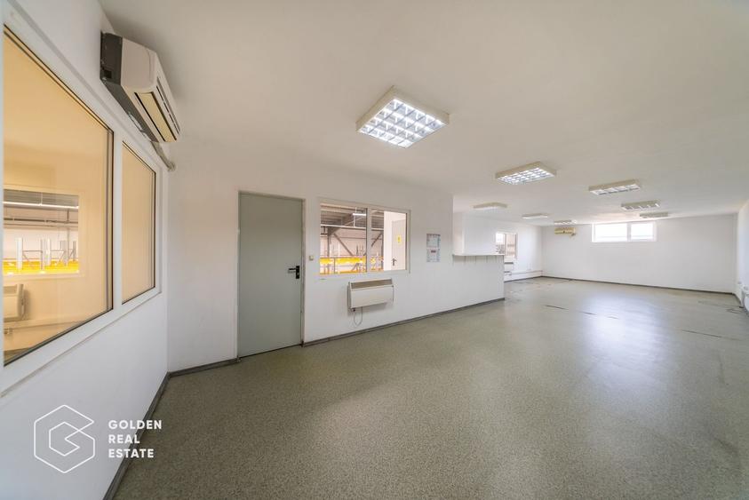 Spațiu industrial, de 704.71997070313 mp, în Aradul Nou
