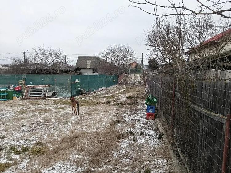 Teren de 800 mp, în Lilieci