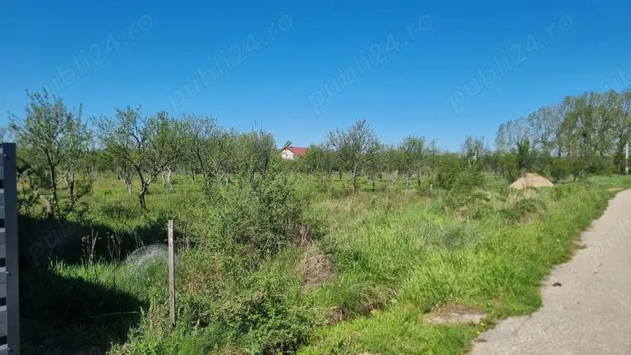 Teren de 800 mp, în Glâmbocu