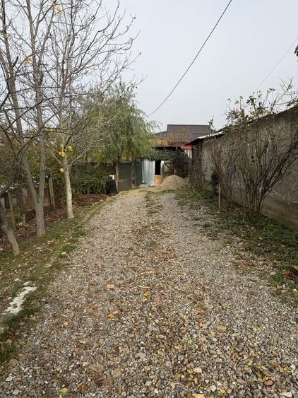 Casă cu 3 camere în Central