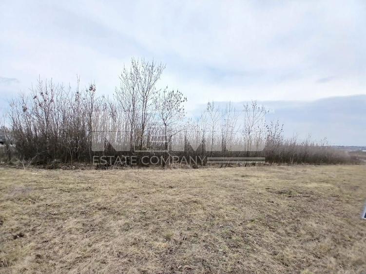 Teren Construcții intravilan de 6000 mp, în Cumpărătura
