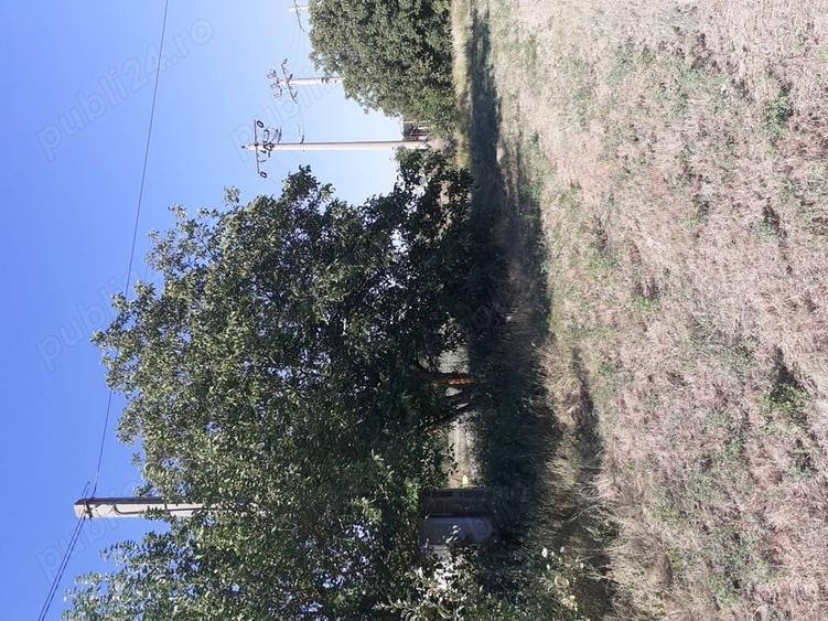 Teren de 4000 mp, în Căldărușeanca
