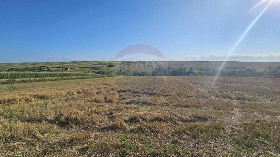 Teren Construcții intravilan de 7500 mp, în Moara Carp