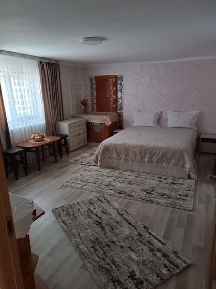 Casa individuala, teren 5200mp, oportunitate de investitie, Brodina - 7