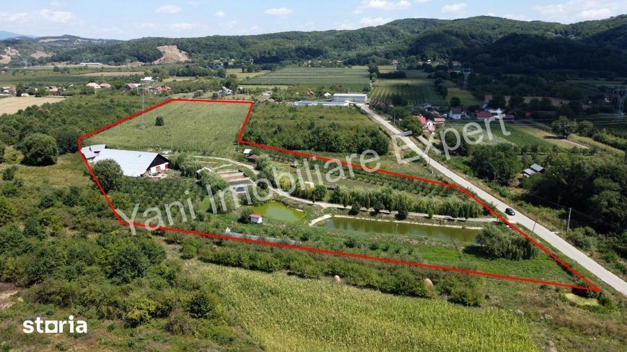 Teren de 40672 mp, în Cepari