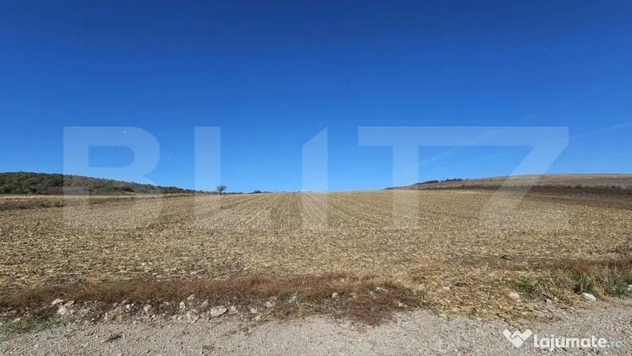 Teren de 17000 mp, în Almașu Mic