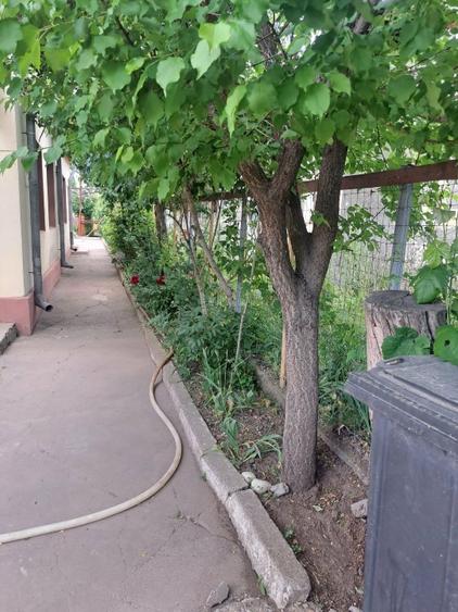 Casă individuală cu 5 camere în Nord