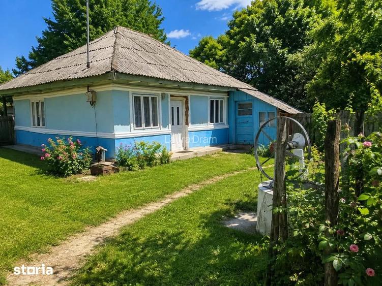 Casa de vanzare, zona Icusesti