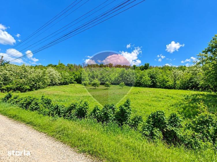 Teren de 2853 mp, în Urechești
