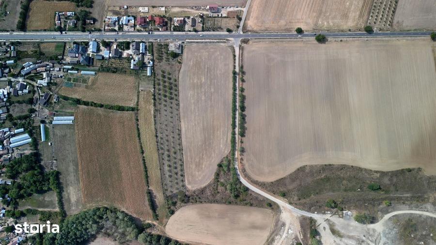 Teren de 9654 mp, în Dobra