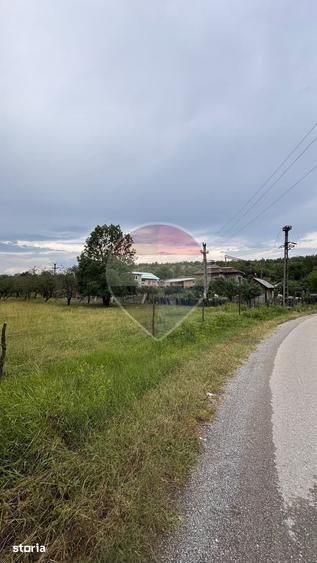 Teren de 20798 mp, în Prunișor