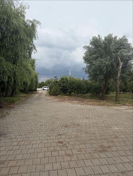 Casă cu 4 camere în 1 Decembrie