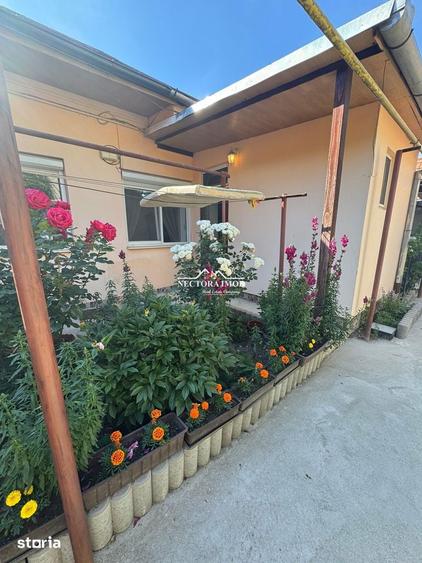 NECTORA IMOB-Apartament la casa,Pet friendly,Ultracentral Piata Unirii - 7