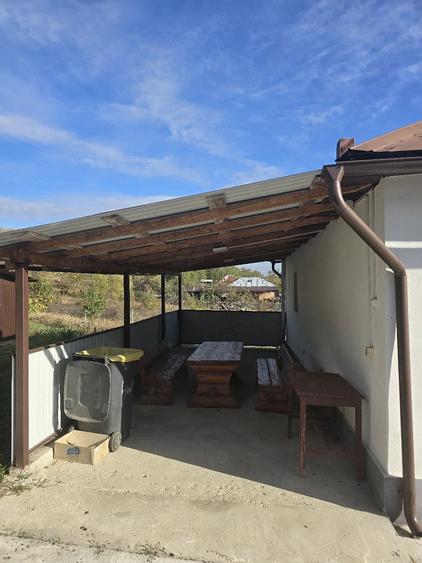 Casă cu 2 camere cu Teren 5000 Mp în Drăgășani